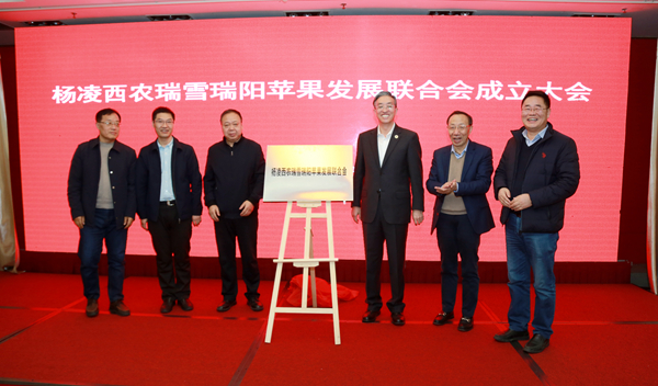 杨凌西农瑞雪瑞阳苹果发展联合会成立 杨凌西农瑞雪瑞阳苹果发展联合会成立