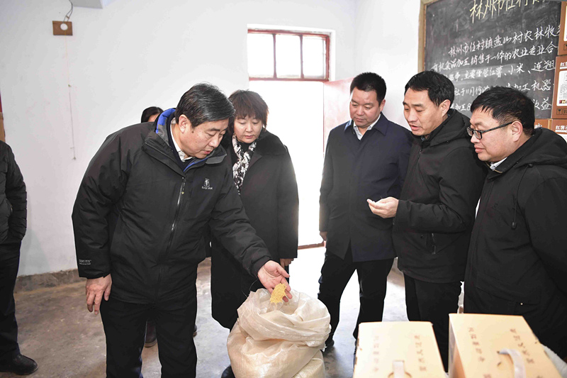 周翔深入林州市任村镇盘山村调研 周翔深入林州市任村镇盘山村调研