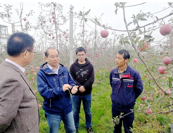 抗击疫情专家在行动—— 广泛调研精准施策做好春季苹果园管理