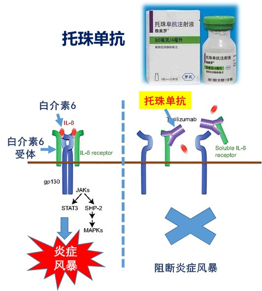 干训网分享:邓向阳调研中国科大疫情防控科技攻关并慰问一线科研人员