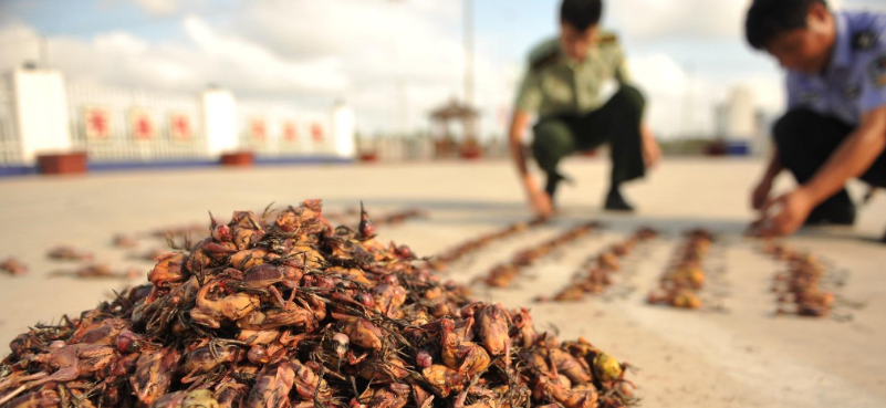 运用法治手段有效防范重大公共卫生风险,切实保障人民群众生命安全和身体健康