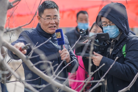 疫情下的农业生产 疫情下的农业生产