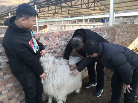 疫情下的农业生产 疫情下的农业生产